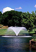 Tornado Aerator Orlando