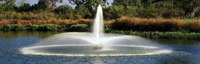 Orlando Lakes and Wetlands