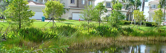 Orlando Lakes and Wetlands